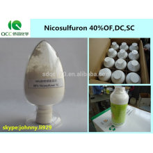 Pflanzenschutzmittel / Nicosulfuron sc, Nicosulfuron 40% OF, 40% DC, 40% SC / 40g / L OD Herbizid -qq